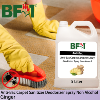 Carpet Sanitizer Deodorizer Spray - Ginger - 5L