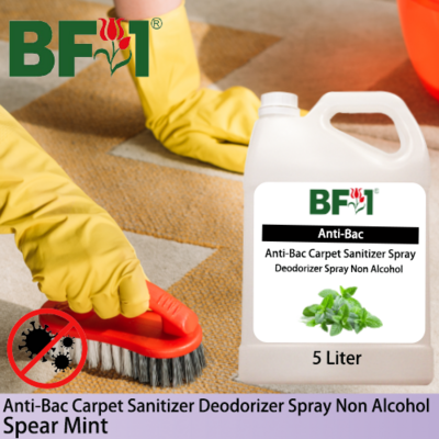 Carpet Sanitizer Deodorizer Spray - mint - Spear Mint - 5L