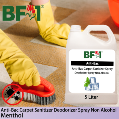 Carpet Sanitizer Deodorizer Spray - Menthol - 5L