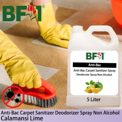 Carpet Sanitizer Deodorizer Spray - lime - Calamansi Lime - 5L