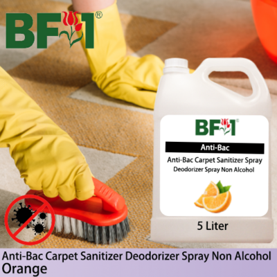 Carpet Sanitizer Deodorizer Spray - Orange - 5L