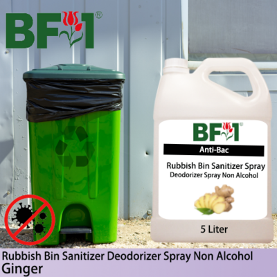(ABRBSD) Ginger Anti-Bac Rubbish Bin Sanitizer Deodorizer Spray - Non Alcohol - 5L
