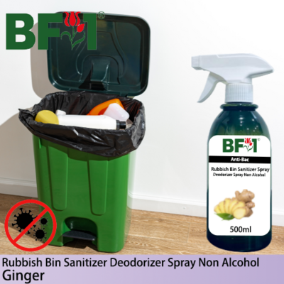(ABRBSD) Ginger Anti-Bac Rubbish Bin Sanitizer Deodorizer Spray - Non Alcohol - 500ml