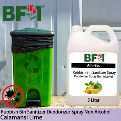 (ABRBSD) lime - Calamansi Lime Anti-Bac Rubbish Bin Sanitizer Deodorizer Spray - Non Alcohol - 5L