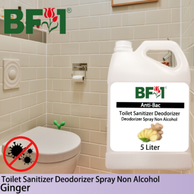 (ABTSD) Ginger Anti-Bac Toilet Sanitizer Deodorizer Spray - Non Alcohol - 5L