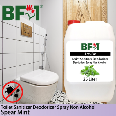 (ABTSD) mint - Spear Mint Anti-Bac Toilet Sanitizer Deodorizer Spray - Non Alcohol - 25L