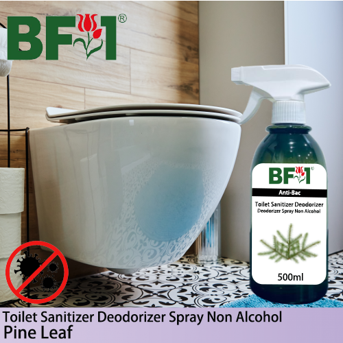(ABTSD) Pine Leaf Anti-Bac Toilet Sanitizer Deodorizer Spray - Non Alcohol - 500ml