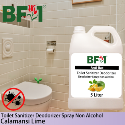 (ABTSD) lime - Calamansi Lime Anti-Bac Toilet Sanitizer Deodorizer Spray - Non Alcohol - 5L