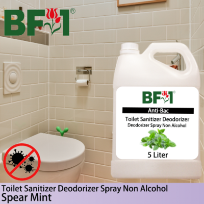 (ABTSD) mint - Spear Mint Anti-Bac Toilet Sanitizer Deodorizer Spray - Non Alcohol - 5L