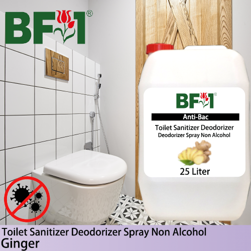(ABTSD) Ginger Anti-Bac Toilet Sanitizer Deodorizer Spray - Non Alcohol - 25L