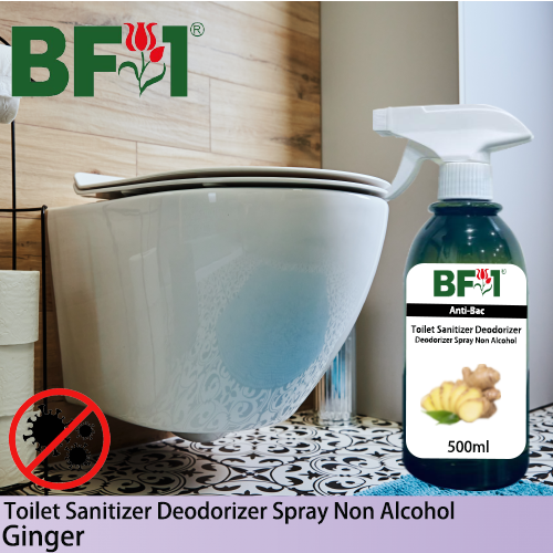 (ABTSD) Ginger Anti-Bac Toilet Sanitizer Deodorizer Spray - Non Alcohol - 500ml