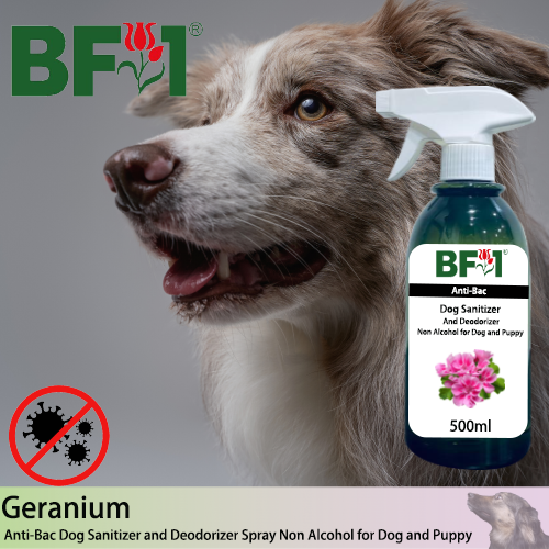 Anti-Bac Dog Sanitizer and Deodorizer Spray (ABPSD-Dog) - Non Alcohol with Geranium - 500ml for Dog and Puppy ⭐⭐⭐⭐⭐