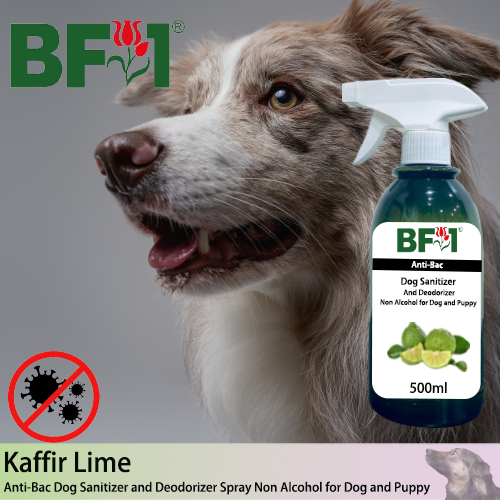 Anti-Bac Dog Sanitizer and Deodorizer Spray (ABPSD-Dog) - Non Alcohol with lime - Kaffir Lime - 500ml for Dog and Puppy ⭐⭐⭐⭐⭐