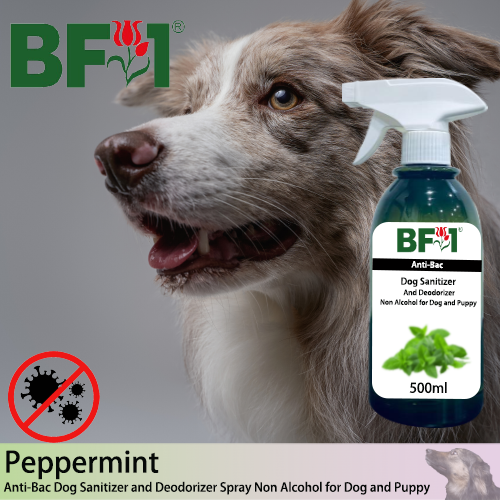 Anti-Bac Dog Sanitizer and Deodorizer Spray (ABPSD-Dog) - Non Alcohol with mint - Peppermint - 500ml for Dog and Puppy ⭐⭐⭐⭐⭐
