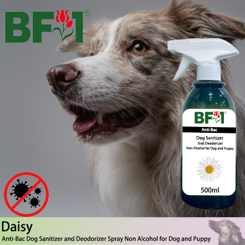 Anti-Bac Dog Sanitizer and Deodorizer Spray (ABPSD-Dog) - Non Alcohol with Daisy - 500ml for Dog and Puppy ⭐⭐⭐⭐⭐