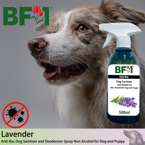 Anti-Bac Dog Sanitizer and Deodorizer Spray (ABPSD-Dog) - Non Alcohol with Lavender - 500ml for Dog and Puppy ⭐⭐⭐⭐⭐