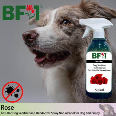 Anti-Bac Dog Sanitizer and Deodorizer Spray (ABPSD-Dog) - Non Alcohol with Rose - 500ml for Dog and Puppy ⭐⭐⭐⭐⭐