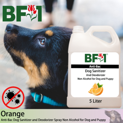 Anti-Bac Dog Sanitizer and Deodorizer Spray (ABPSD-Dog) - Non Alcohol with Orange - 5L for Dog and Puppy ⭐⭐⭐⭐⭐