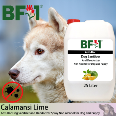 Anti-Bac Dog Sanitizer and Deodorizer Spray (ABPSD-Dog) - Non Alcohol with lime - Calamansi Lime - 25L for Dog and Puppy ⭐⭐⭐⭐⭐