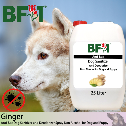Anti-Bac Dog Sanitizer and Deodorizer Spray (ABPSD-Dog) - Non Alcohol with Ginger - 25L for Dog and Puppy ⭐⭐⭐⭐⭐