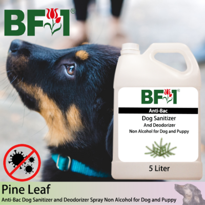 Anti-Bac Dog Sanitizer and Deodorizer Spray (ABPSD-Dog) - Non Alcohol with Pine Leaf - 5L for Dog and Puppy ⭐⭐⭐⭐⭐