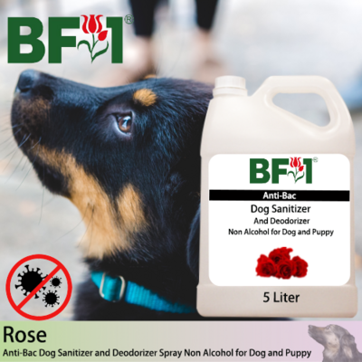 Anti-Bac Dog Sanitizer and Deodorizer Spray (ABPSD-Dog) - Non Alcohol with Rose - 5L for Dog and Puppy ⭐⭐⭐⭐⭐
