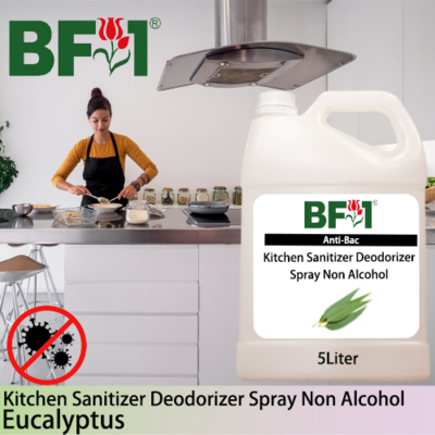 (ABKSD) Eucalyptus Anti-Bac Kitchen Sanitizer Deodorizer Spray - Non Alcohol - 5L