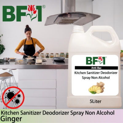 (ABKSD) Ginger Anti-Bac Kitchen Sanitizer Deodorizer Spray - Non Alcohol - 5L