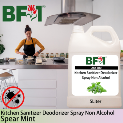 (ABKSD) mint - Spear Mint Anti-Bac Kitchen Sanitizer Deodorizer Spray - Non Alcohol - 5L