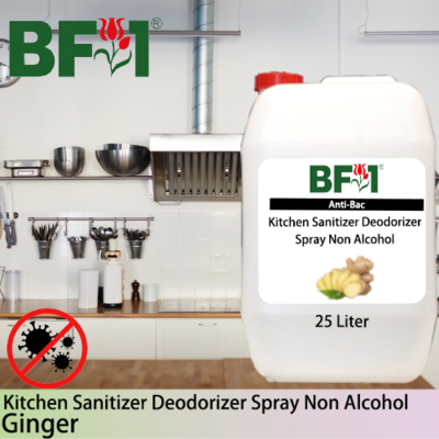 (ABKSD) Ginger Anti-Bac Kitchen Sanitizer Deodorizer Spray - Non Alcohol - 25L