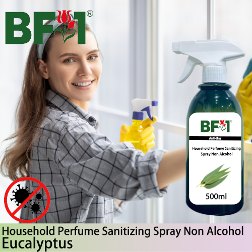 Anti-Bac Household Perfume Sanitizing Spray Non Alcohol (ABHP) - Eucalyptus - 500ml