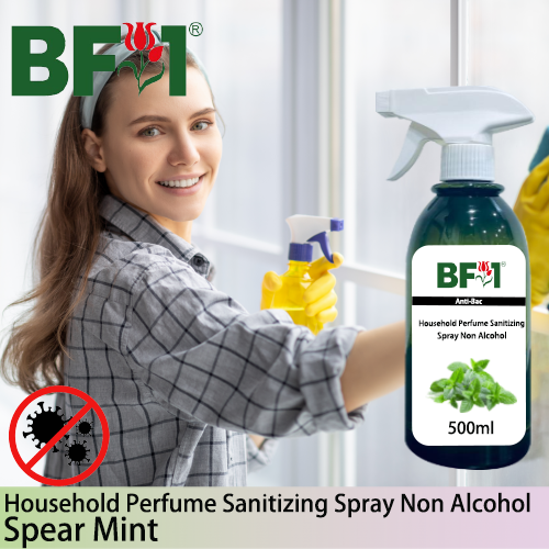 Anti-Bac Household Perfume Sanitizing Spray Non Alcohol (ABHP) - mint - Spear Mint - 500ml