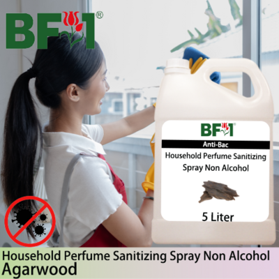 Anti-Bac Household Perfume Sanitizing Spray Non Alcohol (ABHP) - Agarwood - 5L