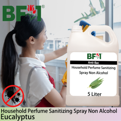 Anti-Bac Household Perfume Sanitizing Spray Non Alcohol (ABHP) - Eucalyptus - 5L