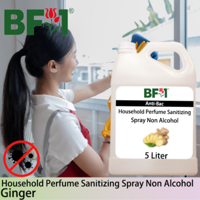 Anti-Bac Household Perfume Sanitizing Spray Non Alcohol (ABHP) - Ginger - 5L