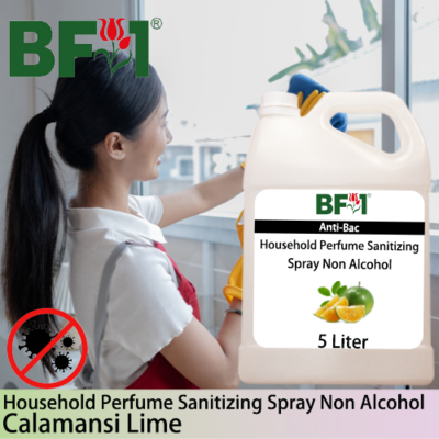 Anti-Bac Household Perfume Sanitizing Spray Non Alcohol (ABHP) - lime - Calamansi Lime - 5L