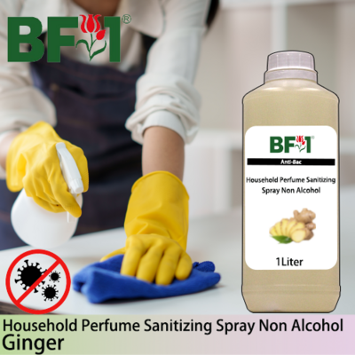 Anti-Bac Household Perfume Sanitizing Spray Non Alcohol (ABHP) - Ginger - 1L