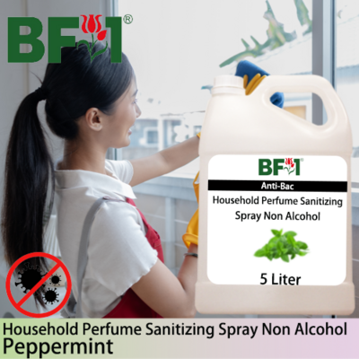 Anti-Bac Household Perfume Sanitizing Spray Non Alcohol (ABHP) - mint - Peppermint - 5L