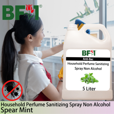 Anti-Bac Household Perfume Sanitizing Spray Non Alcohol (ABHP) - mint - Spear Mint - 5L