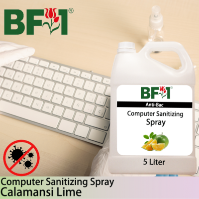 Anti-Bac Computer Sanitizing Spray Non Alcohol (ABCS) - lime - Calamansi Lime - 5L