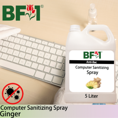 Anti-Bac Computer Sanitizing Spray Non Alcohol (ABCS) - Ginger - 5L