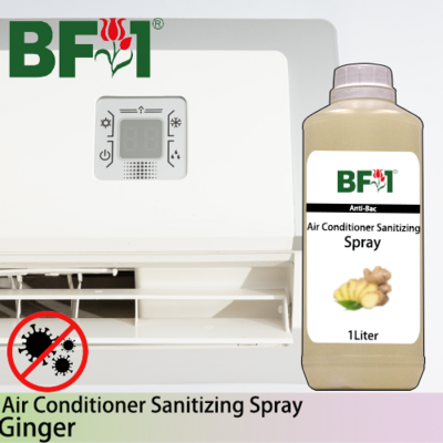 Anti-Bac Air Conditioner Sanitizing Spray Non Alcohol (ABACS) - Ginger - 1L