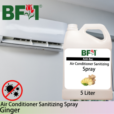 Anti-Bac Air Conditioner Sanitizing Spray Non Alcohol (ABACS) - Ginger - 5L