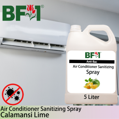 Anti-Bac Air Conditioner Sanitizing Spray Non Alcohol (ABACS) - lime - Calamansi Lime - 5L
