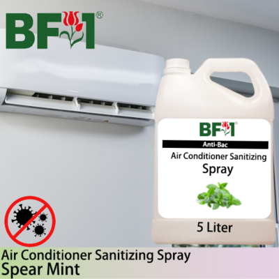 Anti-Bac Air Conditioner Sanitizing Spray Non Alcohol (ABACS) - mint - Spear Mint - 5L