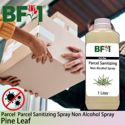 Anti-Bac Parcel Sanitizing Spray Non Alcohol (ABPS) - Pine Leaf - 1L