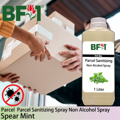 Anti-Bac Parcel Sanitizing Spray Non Alcohol (ABPS) - mint - Spear Mint - 1L