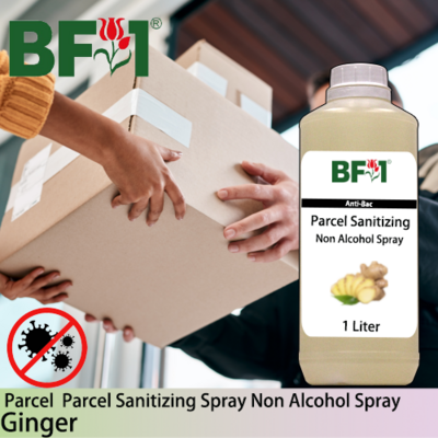 Anti-Bac Parcel Sanitizing Spray Non Alcohol (ABPS) - Ginger - 1L