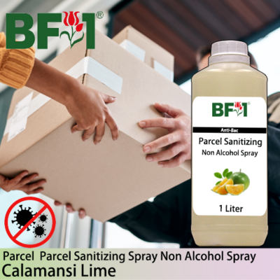 Anti-Bac Parcel Sanitizing Spray Non Alcohol (ABPS) - lime - Calamansi Lime - 1L