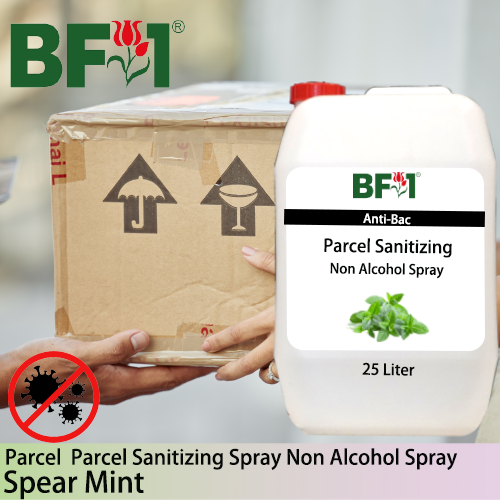 Anti-Bac Parcel Sanitizing Spray Non Alcohol (ABPS) - mint - Spear Mint - 25L